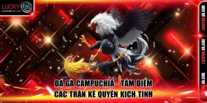 Đá gà Campuchia
